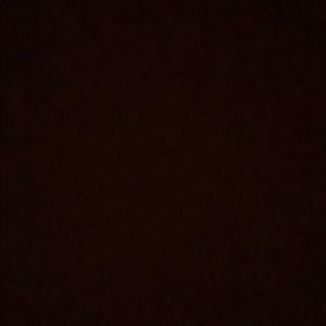 Meet your Posher, Arlene